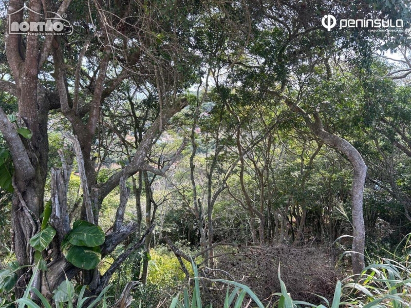 TERRENO a venda no ALTO DE BÚZIOS em Armação dos Búzios/RJ