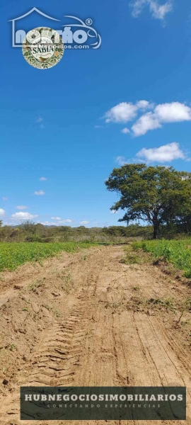 Terreno à venda, 1000m² - Foto 7