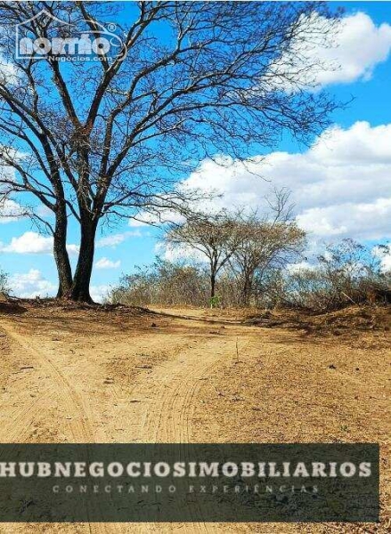 Terreno à venda, 1000m² - Foto 10