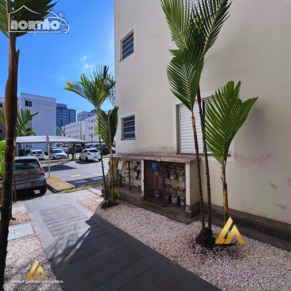 Casa à venda com 3 quartos, 44m² - Foto 2