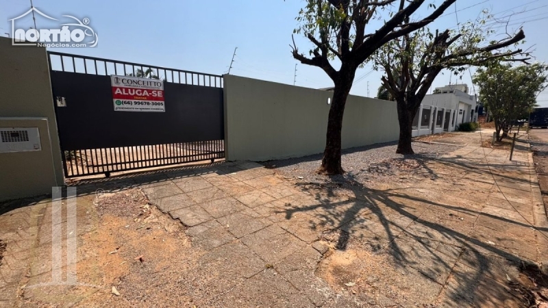 CASA para locação no JARDIM JACARANDÁS em Sinop/MT