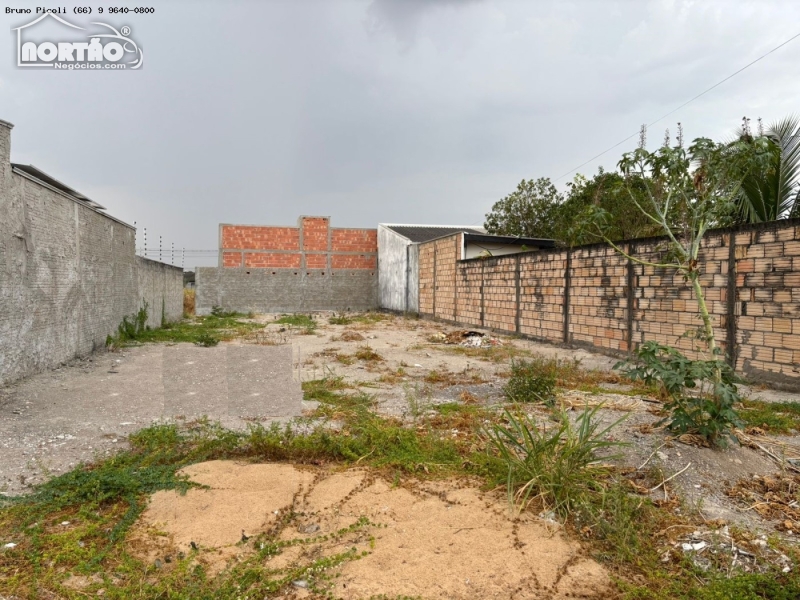 TERRENO A VENDA NO BURITIS EM SINOP/MT