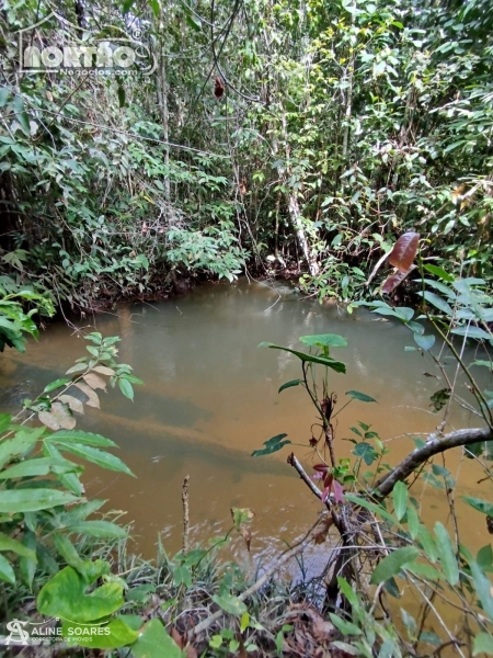 CHÁCARA a venda no CHÁCARA RIACHO FUNDO em Sinop/MT