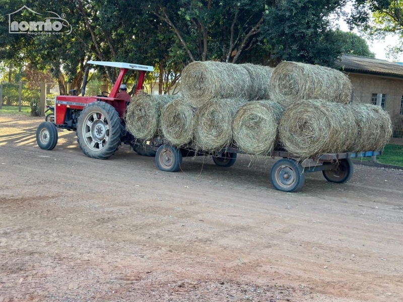 FAZENDA a venda no REGIÃO DE SINOP em Sinop/MT