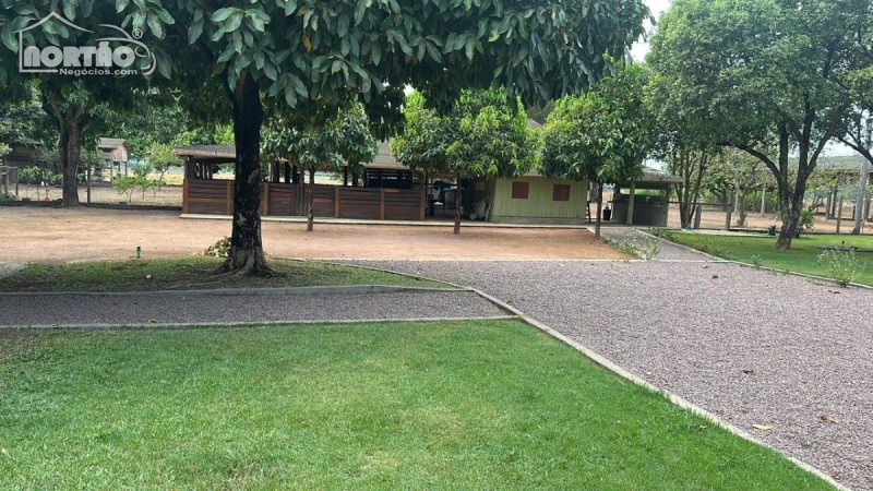 FAZENDA a venda no REGIÃO DE SINOP em Sinop/MT FAZENDA a venda no REGIÃO DE SINOP em Sinop/MT