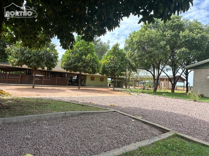 FAZENDA a venda no REGIÃO DE SINOP em Sinop/MT FAZENDA a venda no REGIÃO DE SINOP em Sinop/MT