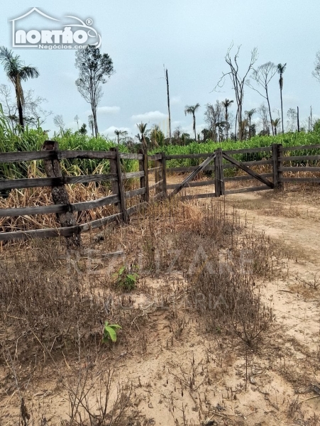 CHÁCARA a venda no ESTRADA CLAUDIA em Sinop/MT CHÁCARA a venda no ESTRADA CLAUDIA em Sinop/MT