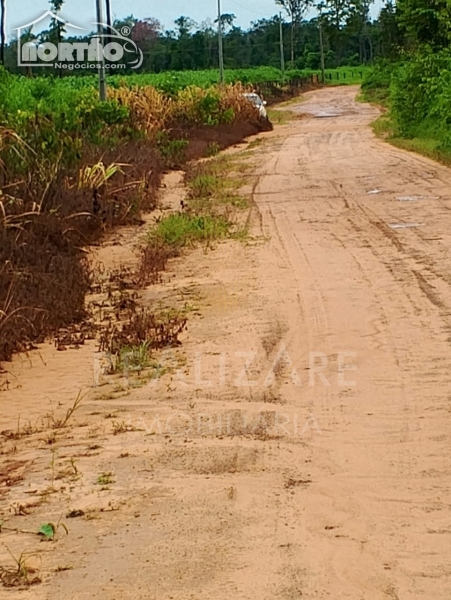 CHÁCARA a venda no ESTRADA CLAUDIA em Sinop/MT CHÁCARA a venda no ESTRADA CLAUDIA em Sinop/MT