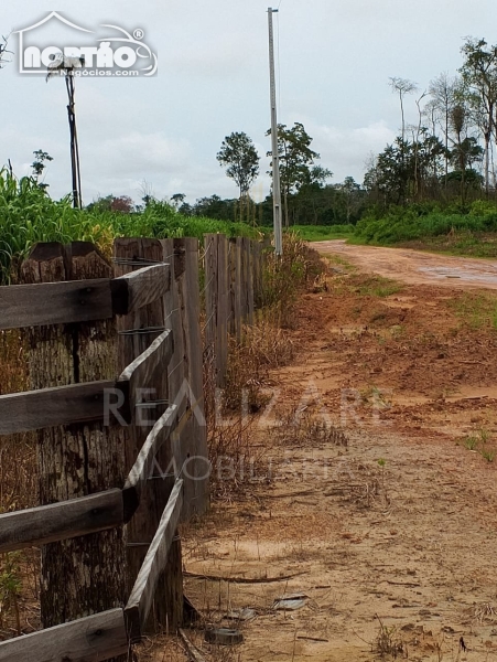 CHÁCARA a venda no ESTRADA CLAUDIA em Sinop/MT CHÁCARA a venda no ESTRADA CLAUDIA em Sinop/MT