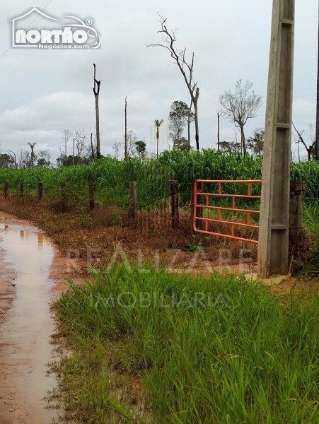 CHÁCARA a venda no ESTRADA CLAUDIA em Sinop/MT CHÁCARA a venda no ESTRADA CLAUDIA em Sinop/MT