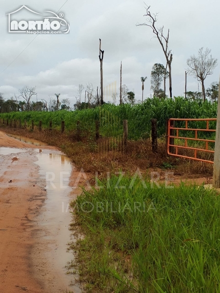 CHÁCARA a venda no ESTRADA CLAUDIA em Sinop/MT CHÁCARA a venda no ESTRADA CLAUDIA em Sinop/MT