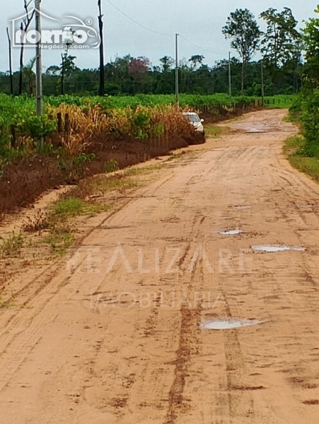 CHÁCARA a venda no ESTRADA CLAUDIA em Sinop/MT CHÁCARA a venda no ESTRADA CLAUDIA em Sinop/MT