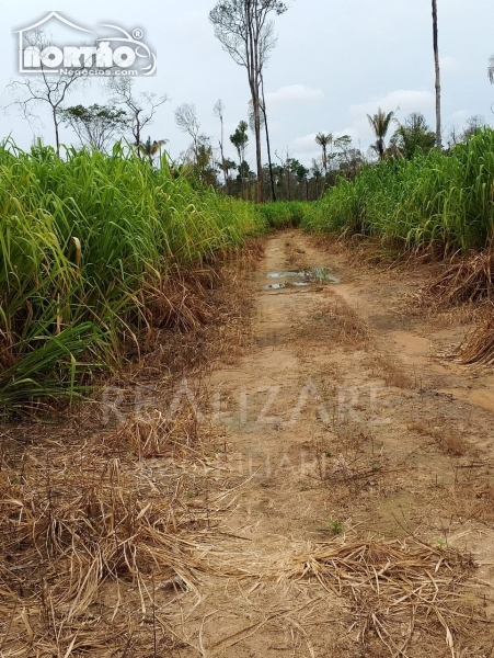 CHÁCARA a venda no ESTRADA CLAUDIA em Sinop/MT CHÁCARA a venda no ESTRADA CLAUDIA em Sinop/MT