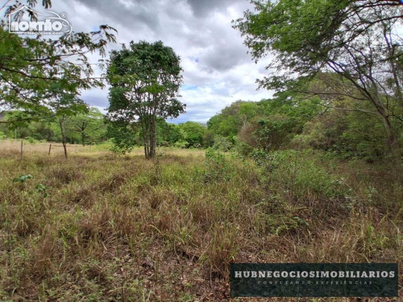 Casa, 5240 m² - Foto 5