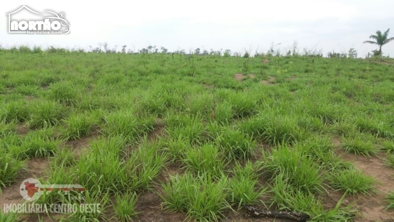 FAZENDA a venda no DISRITO DE CASTELO DOS SONHOS-PA em Altamira/PA