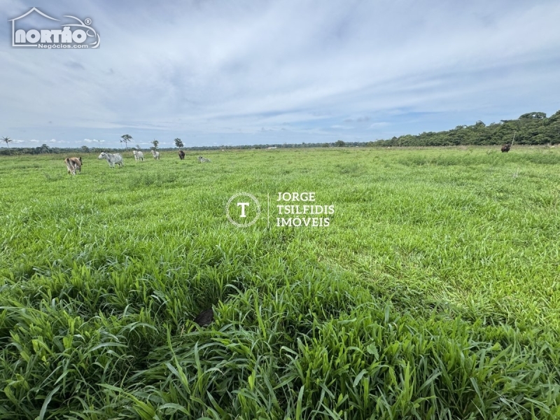 FAZENDA a venda no ZONA RURAL em Colíder/MT