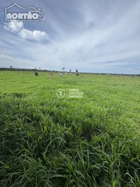 Casa, 180 m² - Foto 3