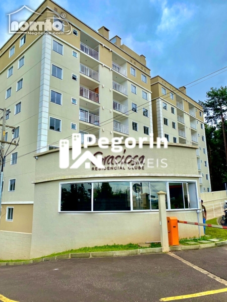Apartamento a venda no JARDIM CLÁUDIA em Pinhais/PR