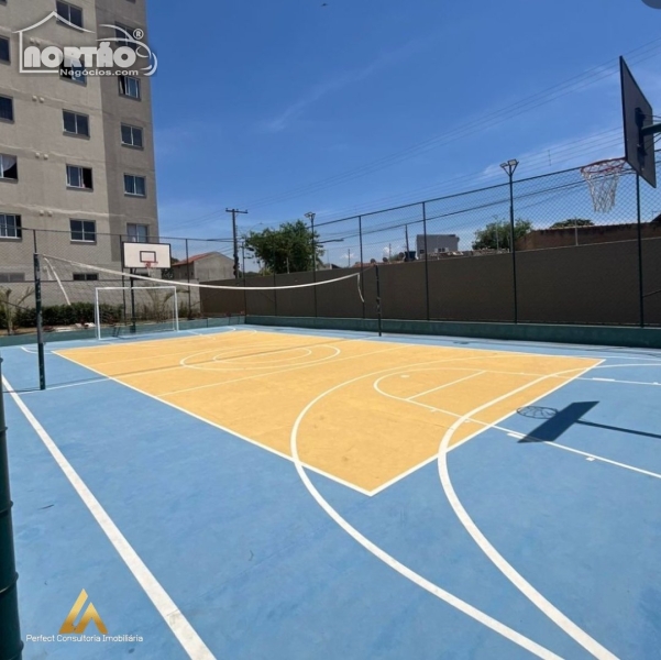 Casa, 3 quartos, 40 m² - Foto 3