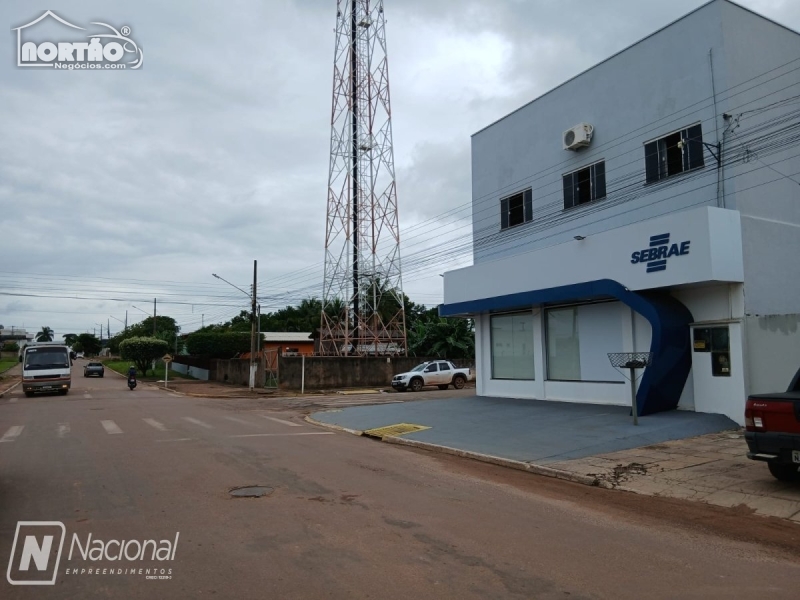 Casa, 4 quartos, 316 m² - Foto 3