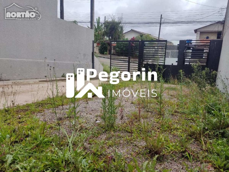 Casa, 4 quartos, 60 m² - Foto 6