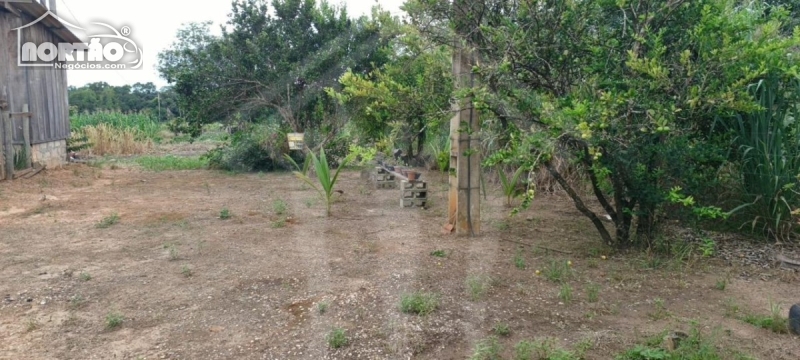 Casa, 3 quartos, 11000 m² - Foto 5