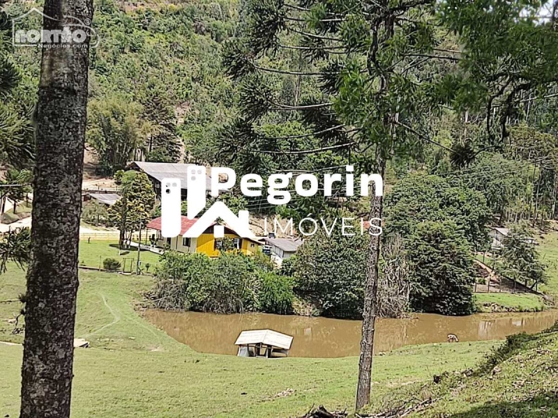 Chácara a venda no HERVALZINHO em Campo Magro/PR