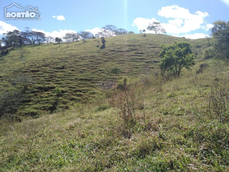SÍTIO a venda no CARABUÇU em Bom Jesus do Itabapoana/RJ