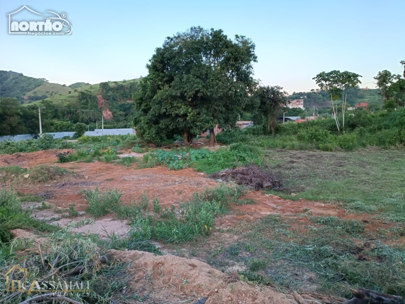 TERRENO a venda no SEBASTIÃO PIMENTEL MARQUES em Bom Jesus do Itabapoana/RJ